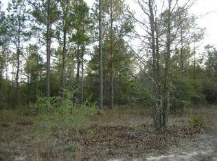 1657 Nevils Groveland Rd, Pembroke, GA 31321