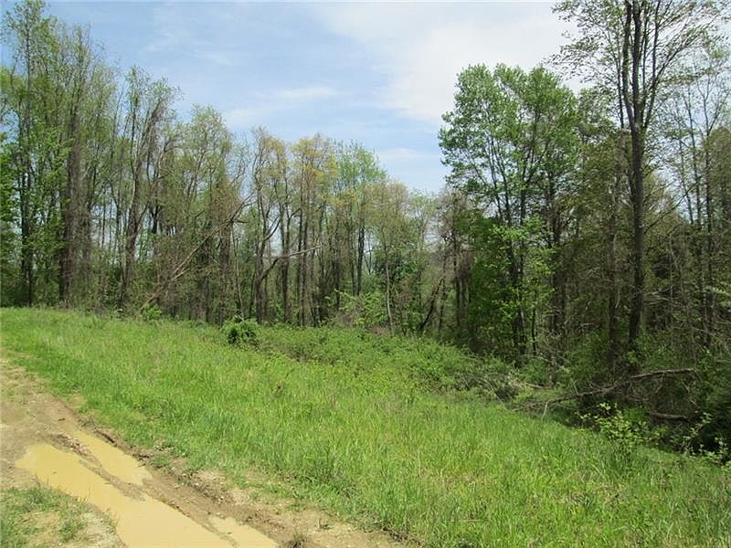 2nd image of 217 Briar Hill Rd