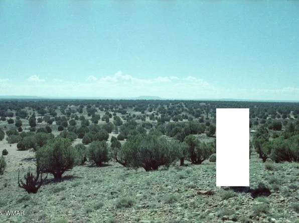 27 N 9204th, Concho, AZ 85924