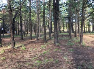 2075 Mineral Dr, Forest Lakes, AZ 85931