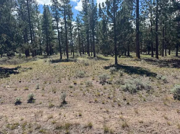 3 Hogan Dr Lot 187, Weed, CA 96094