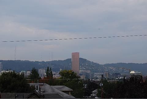 dining room view