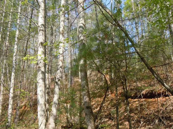Wildwood Dr, Murphy, NC 28906