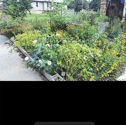 3rd image of 7213 College Ave