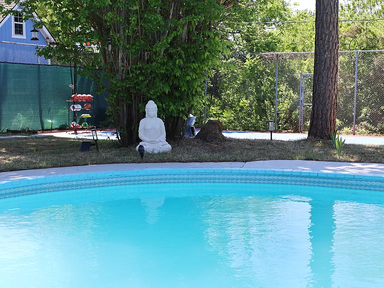 budhha from pool