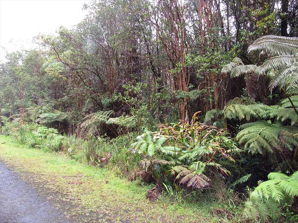 2nd image of Road 3 Lot 126