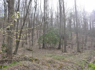 Eanes Rd, Check, VA 24072