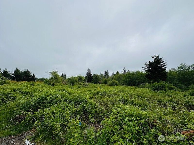 2nd image of 4311 Bethel Road SE