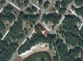 LOT 5 Orange Rd, Ocklawaha, FL 32179