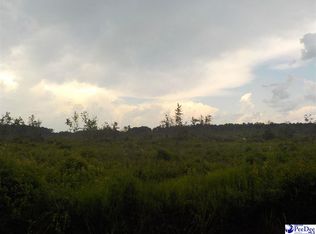 Mary Hubbard Rd, Clio, SC 29525