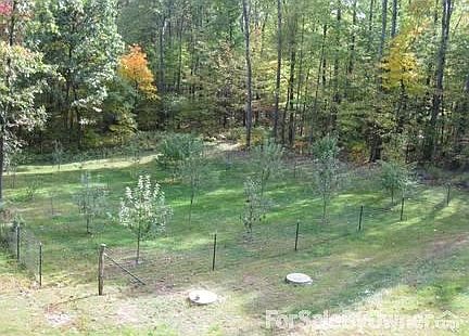 Fenced fruit orchard in the fall
						:
						Pick your own apples, cherries, etc. in the young orchard right in your backyard