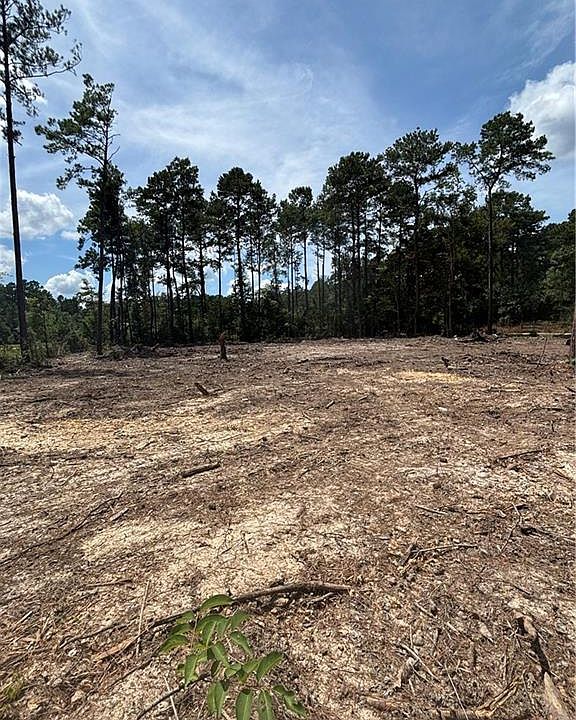 1st image of 32061 Pea Ridge Rd