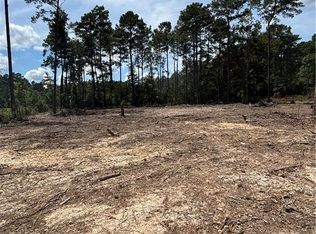 32061 Pea Ridge Rd, Albany, LA 70711