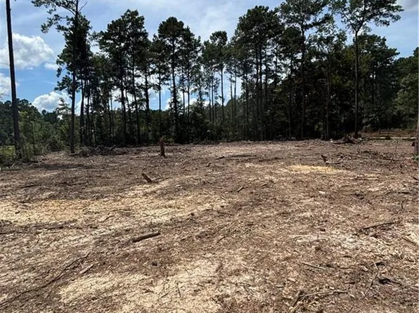 32061 Pea Ridge Rd, Albany, LA 70711