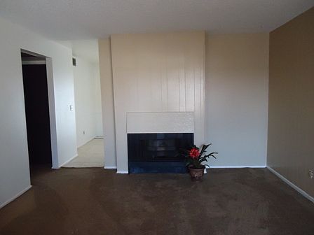5th image of 1050 N Horne APT 11