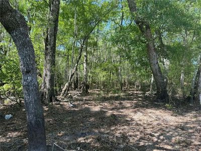 0 Lewis Lndg, Nahunta, GA, 31553