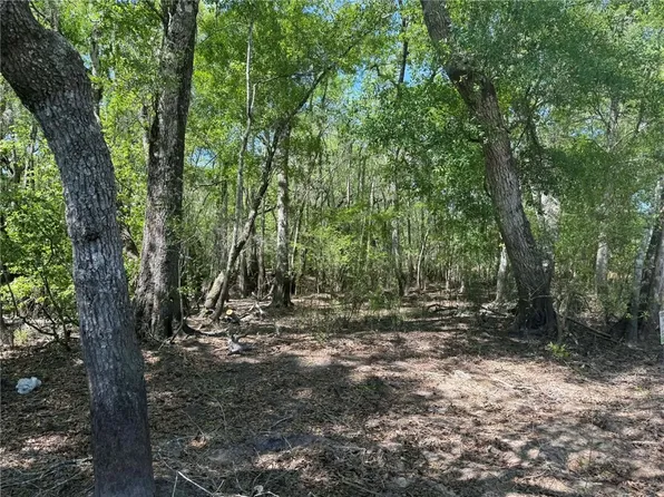 0 Lewis Lndg, Nahunta, GA 31553