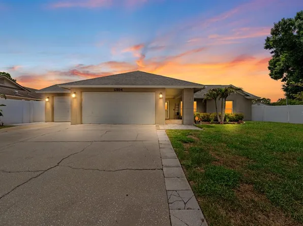 12804 BERT PLACE, TAMPA, FL 33625