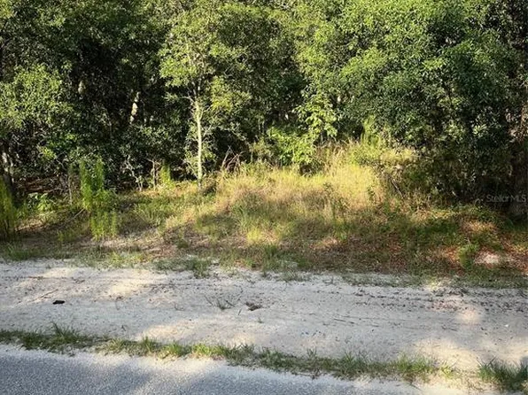 SW 72nd Ter Lot 3, Dunnellon, FL 34432