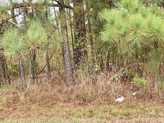 4th image of 8726 State Highway 27 W