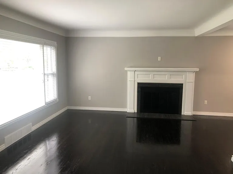 Fireplace - wood