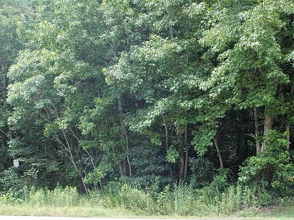 5th image of LOT 39 Tall Pine Dr Lot 39