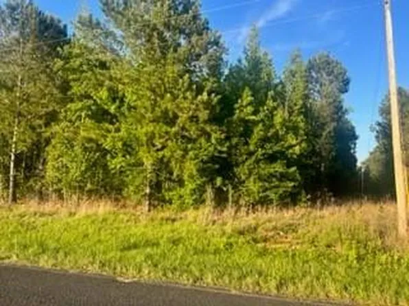 3615 William Brunson Rd, Summerton, SC 29148