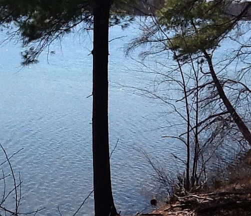 4th image of 10999 Old Oak Drive #Lot 1