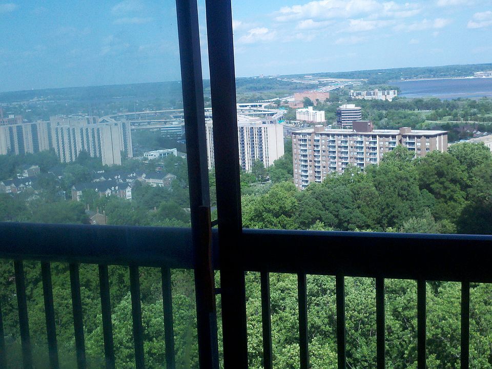 View from Balcony