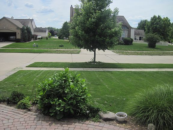 3rd image of 39148 Forest Creek Dr