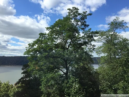 Rented by Sovereign Associates | media 12