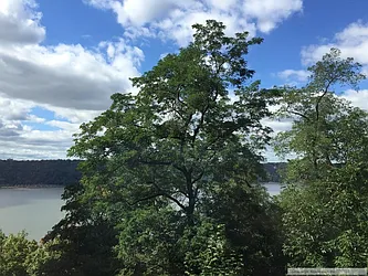 Rented by Sovereign Associates