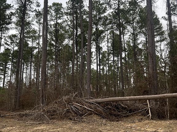 4th image of 1028 Red Wings Rd