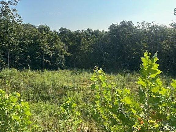 4th image of 16960 Cescutti Rd