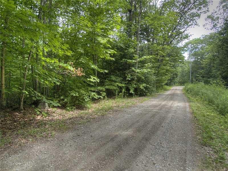 2nd image of Lot #1 Penny Lane