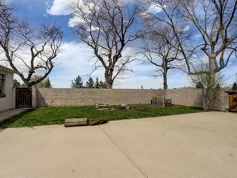 BACKYARD WITH FIRE PIT AND SPACE FOR A GARDEN NORTH SIDE OF BACK YARD