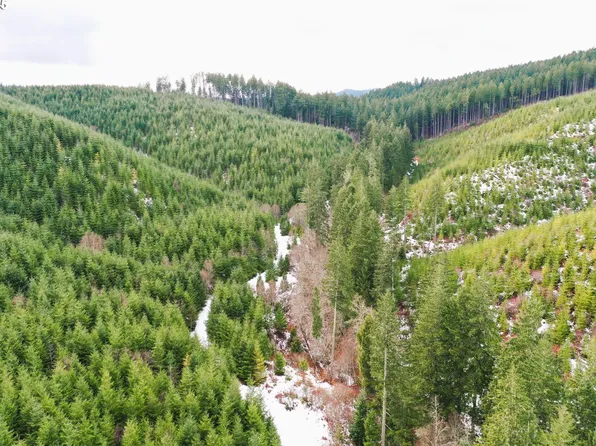 Blm 15 7 36 Rd, Junction City, OR 97448