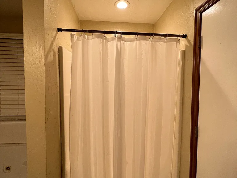 Master Shower _2