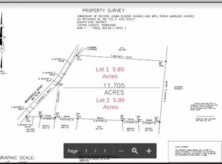633 Brassfield Rd, Hillsboro, TN 37342