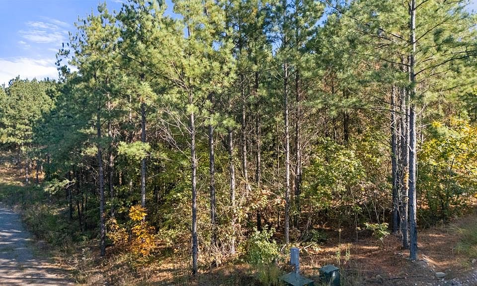 1st image of 24 Cedar Tree Trail