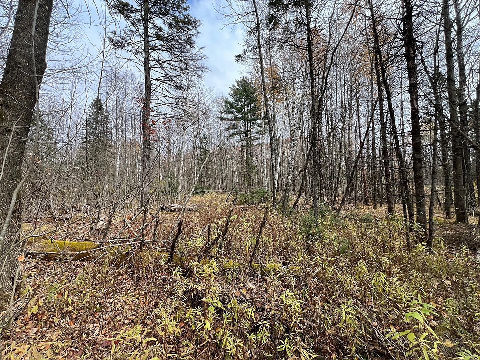 2nd image of Deer Lake Rd