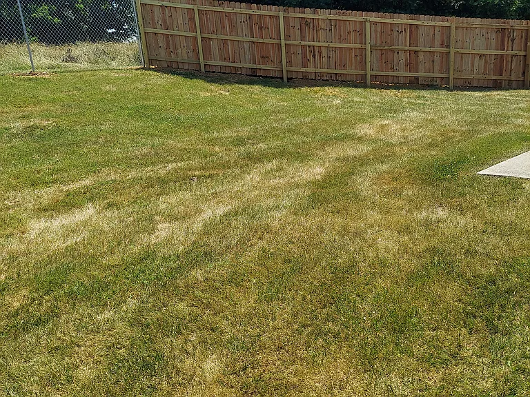 704 Glenstone Dr — Photo 5