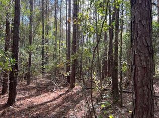 Mitchell Cir, Mc Kenzie, AL 36456