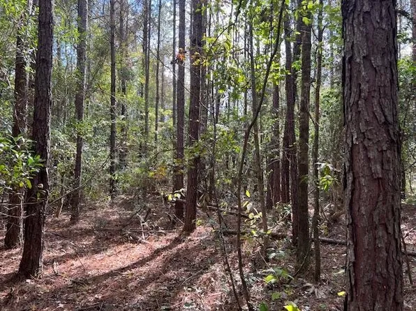Mitchell Cir, Mc Kenzie, AL 36456