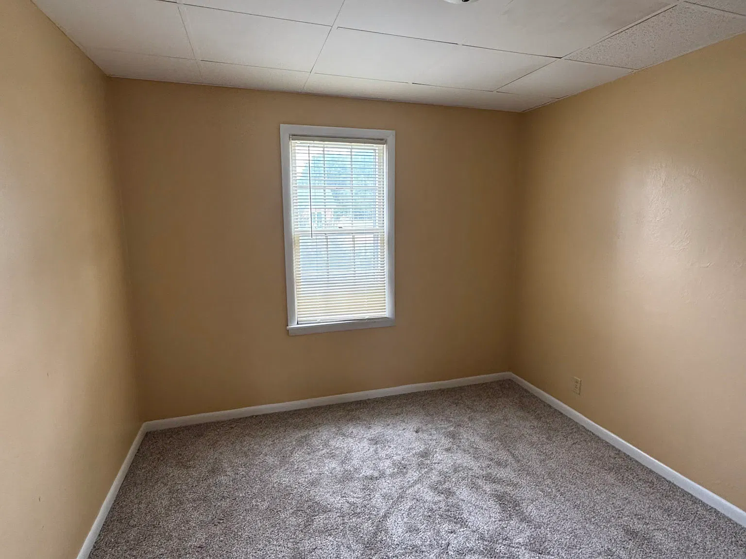 1 bed, $745 — Photo 4