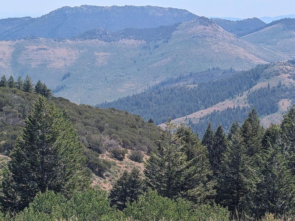 1st image of Wyoming Trl