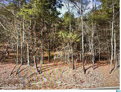 6564 Advent Cir #1, Trussville, AL, 35173