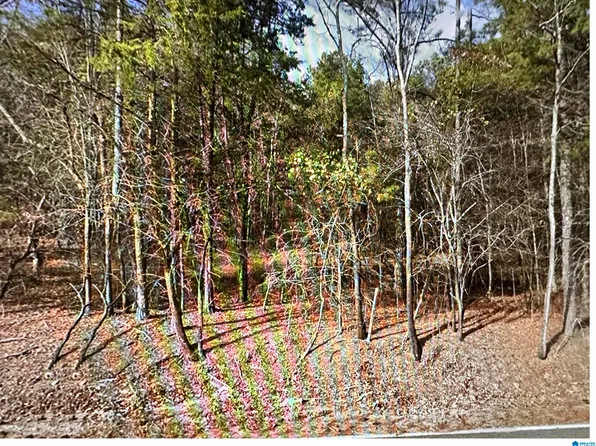 6564 Advent Cir #1, Trussville, AL 35173