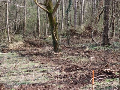 924 Dry Valley Rd Lot 5-R, Townsend, TN, 37882