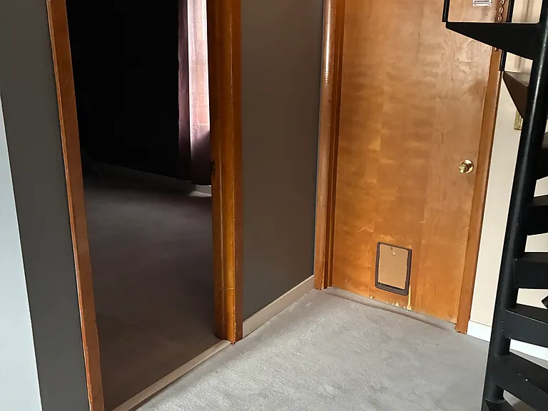 1230 Thorn St #2 — Photo 10